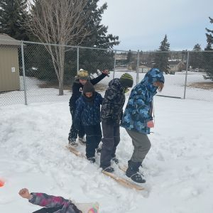 img 4061