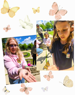 Lâcher de papillons 