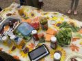 img 5019